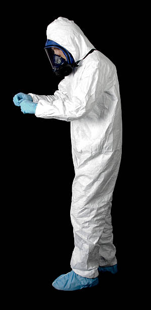 Trusted East Rockaway, NY Mold Removal Experts